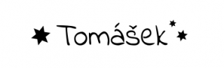 Panel se jménem Tomášek
