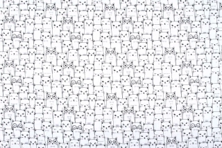 Čtverec 50x50 bílá s kočičkami